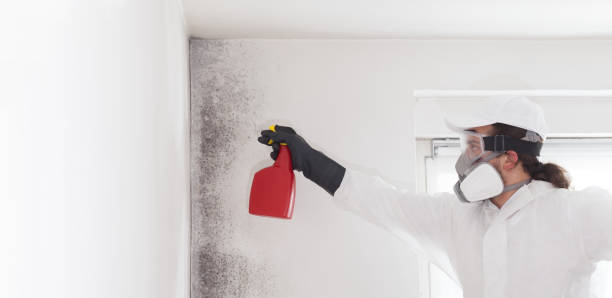 Best Crawl Space Mold Removal  in Whitehouse, TX